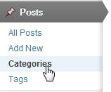 How do I change the Category Slug in WordPress?