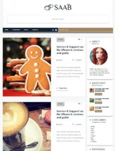 Saab - WordPress Theme