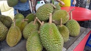 durian