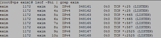 EXIM IPv6 check