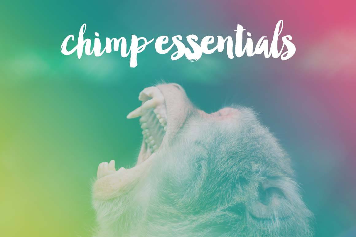Master MailChimp with the Video Course ‘Chimp Essentials’ – 68% off!