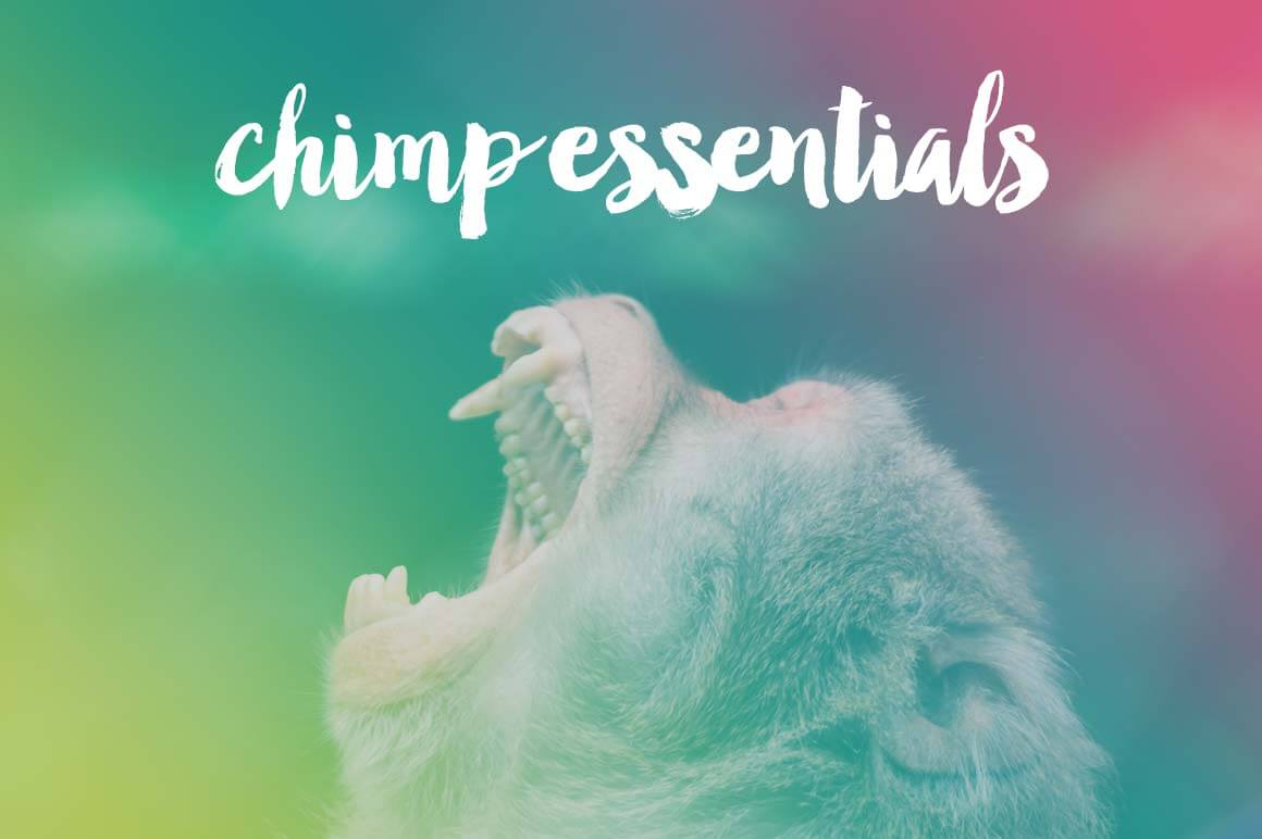 Master MailChimp with the Video Course 'Chimp Essentials' - 68% off!