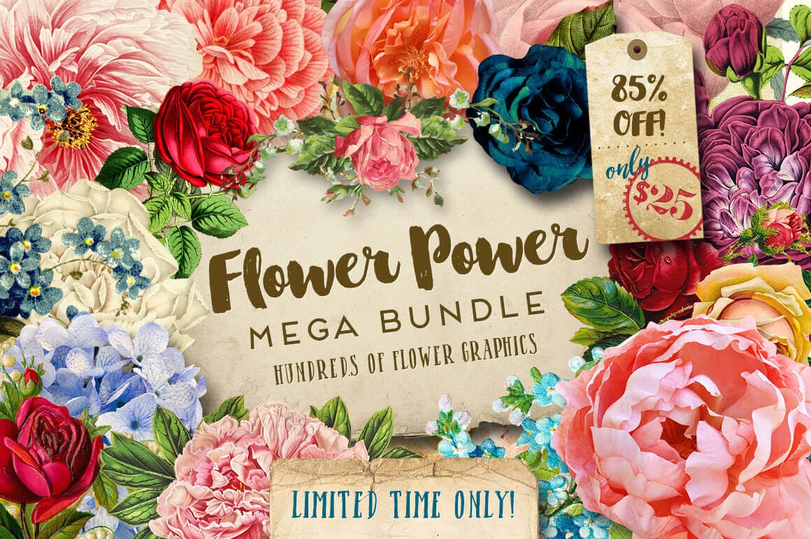 BUNDLE: Gorgeous Flower Graphics – only $25!