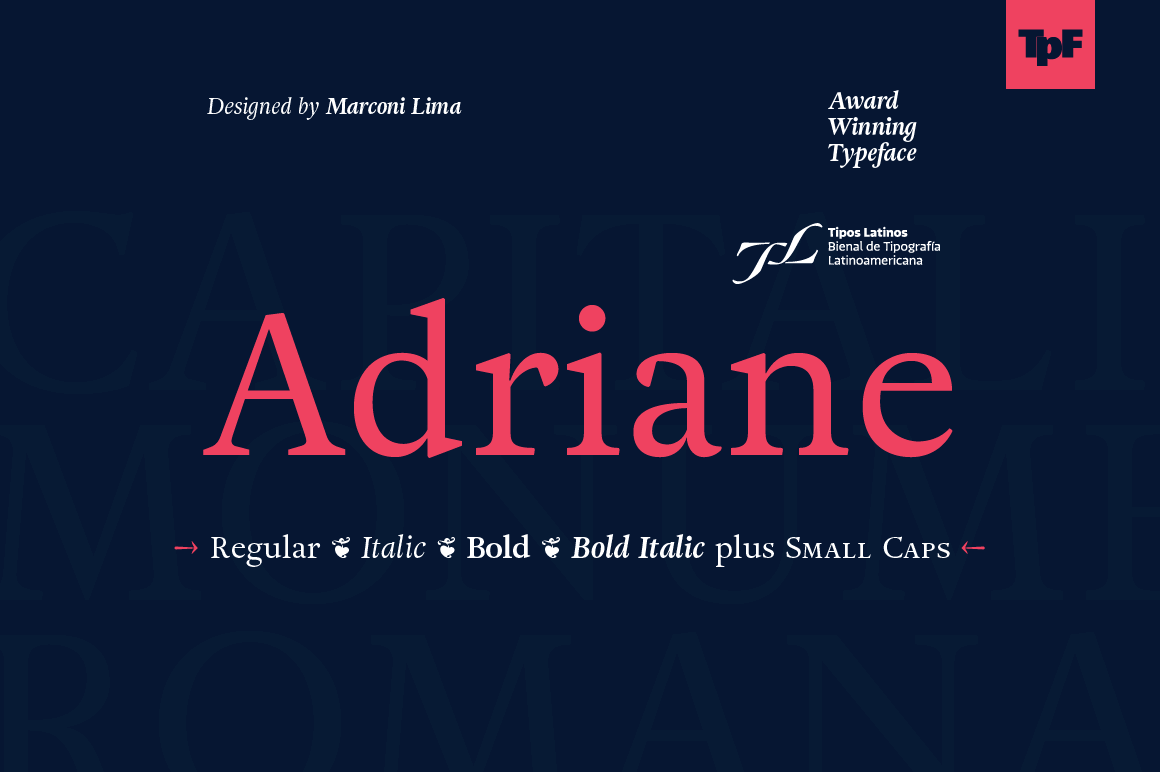 Award-Winning Adriane Text Font Family - only $15!