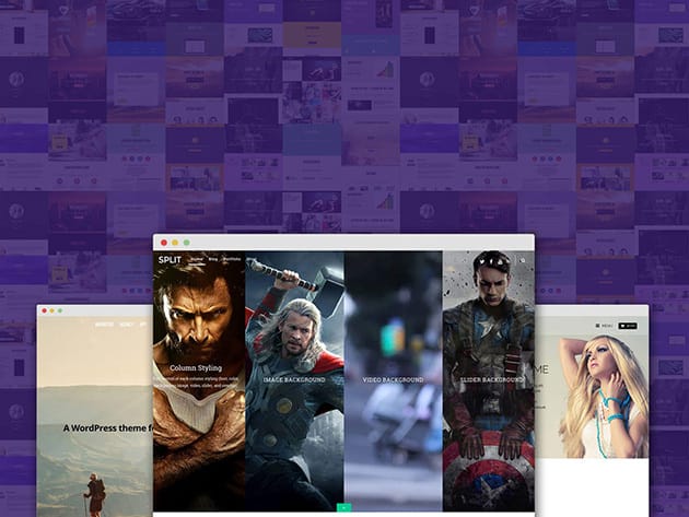 Themify Master Club: 1-Yr Subscription for $34