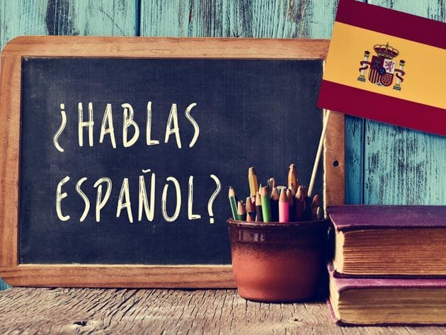 Spanish 1-4: Beginner, Elementary, Intermediate and Advanced for $18