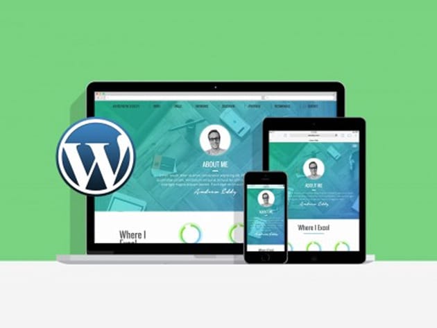 The All-In-One WordPress Business Bundle for $69