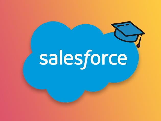 Salesforce Power User Course for $24