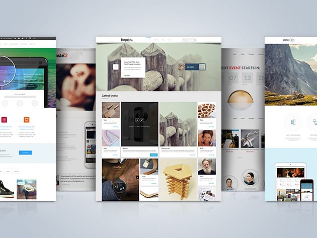 WordPress Sitebuilding Starter Bundle for $59