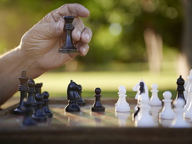 Learn Chess from a Grandmaster for $19