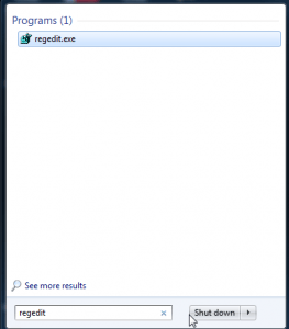 TightVNC History Regedit