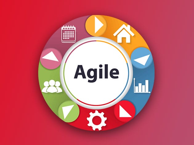Agile Project Management Training for $39
