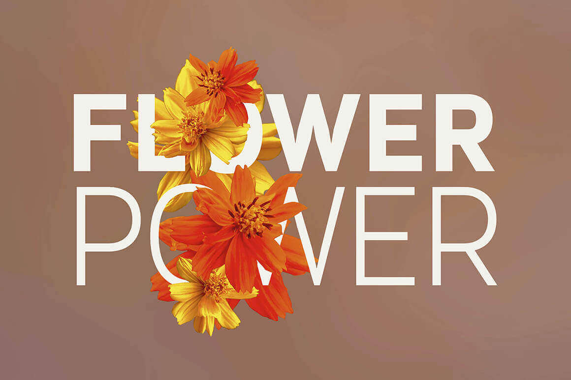 Bundle: 250+ Hi-Res Flower Photos, Backgrounds, Templates and More – only $10!