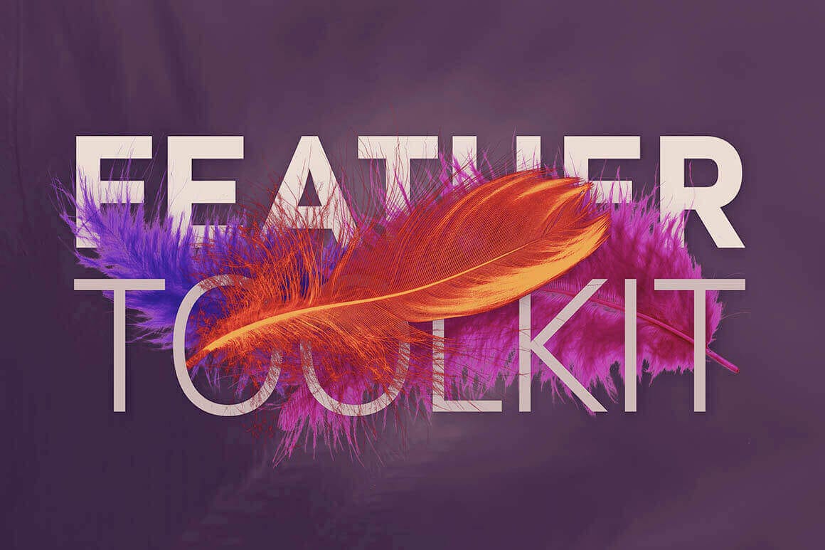 Feather Toolkit: 250+ Hi-Res Feather-Themed Photos, Backgrounds, Templates – only $10!