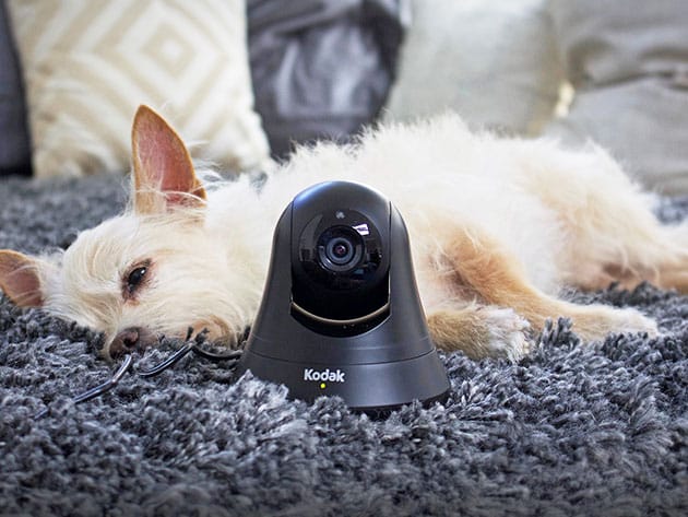 Kodak HD WiFi Pet Monitor for $72