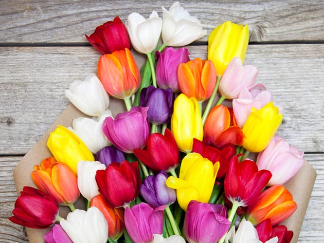 The Bouqs Company Spring Special for $35