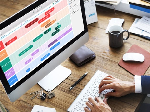 Roadmap Planner: Professional Plan for $29