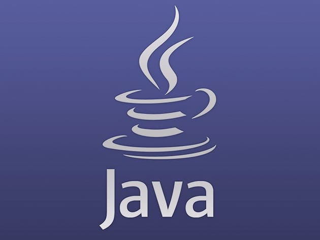 Java Programming for Beginners for $24