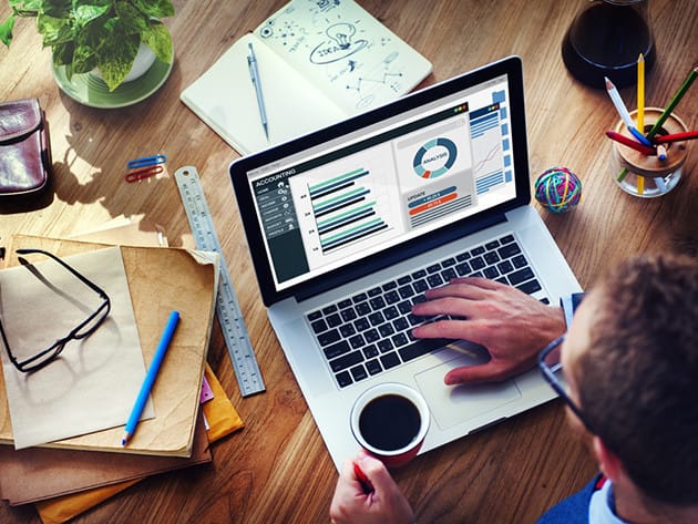 PivotTable Pro Excel Course for $12