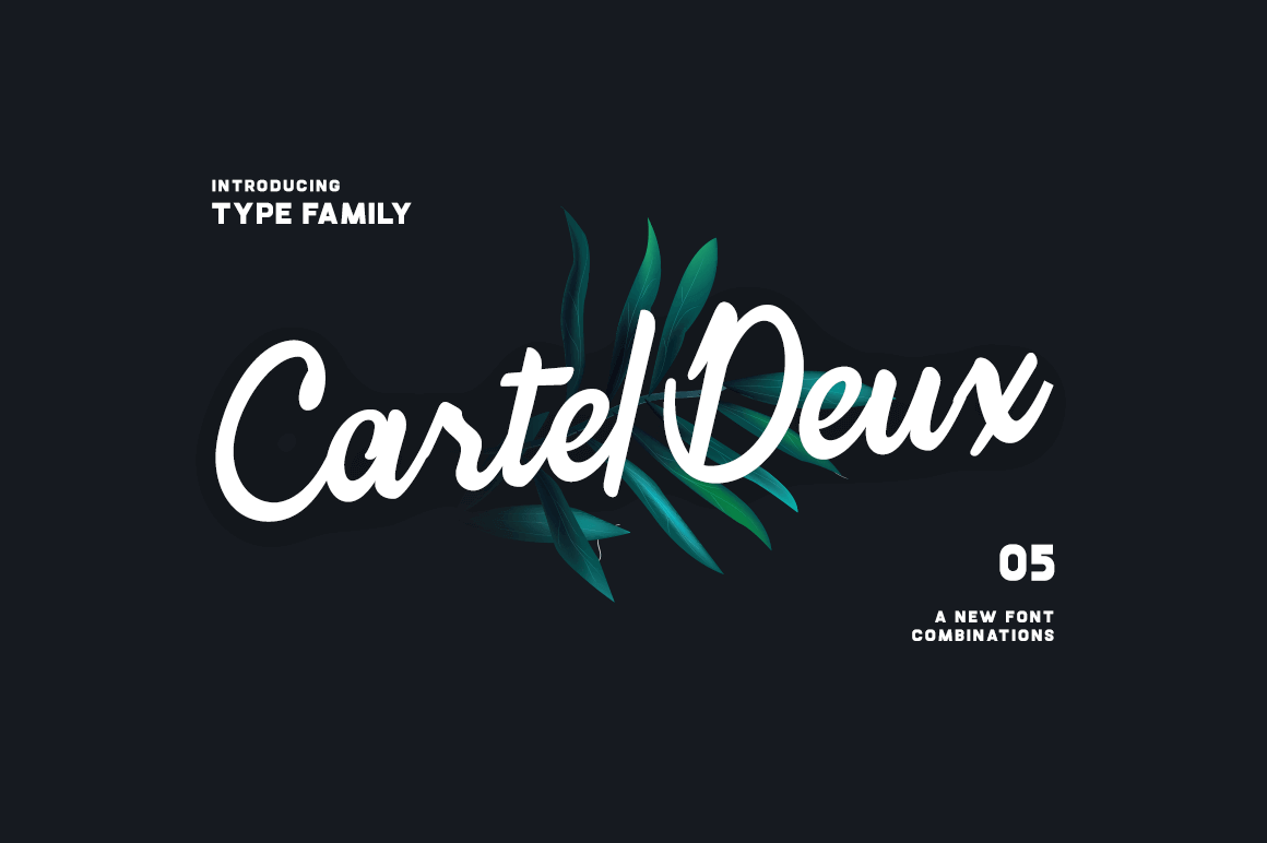 Complete Cartel Deux Font Family – only $15!