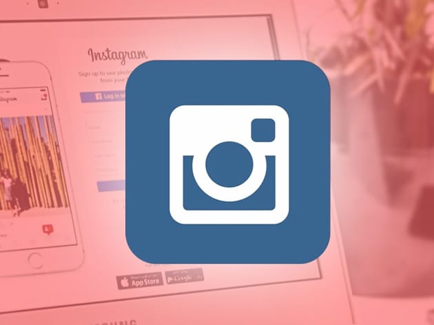 Instagram Marketing Crash Course for Entrepreneurs for $15