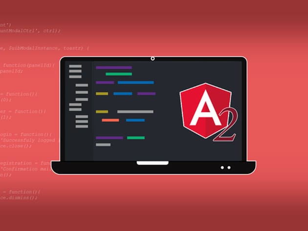 Learn Angular 2 from Beginner to Advanced for $75