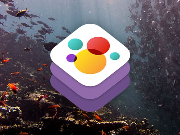 PRE-SALE: The Complete iOS 11 Developer Course + iOS Mastery Bundle for $29