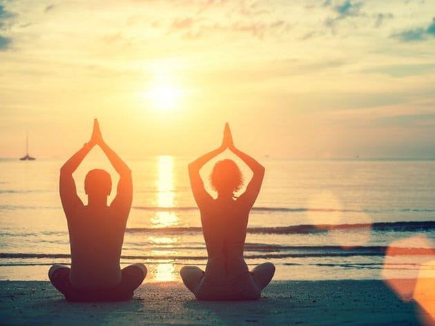 Yoga: Beginner Through Advanced Techniques for $34