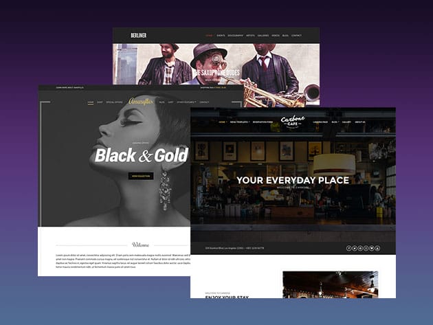 Wpbasin WordPress Power Pack Bundle for $39