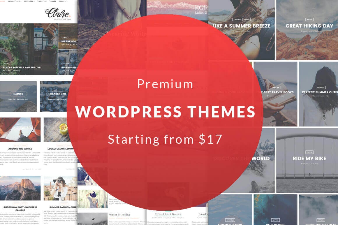 8 Premium Blog WordPress Themes - only $17!
