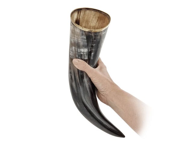 AleHorn Drinking Horns for $29