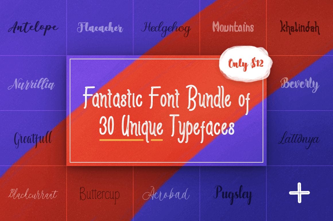 Fantastic Font Bundle of 30 Unique Typefaces - only $12!