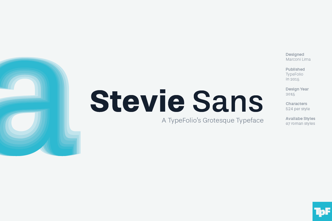 Stevie Sans: a Neo Grotesque Font Family of 7 fonts - only $9!