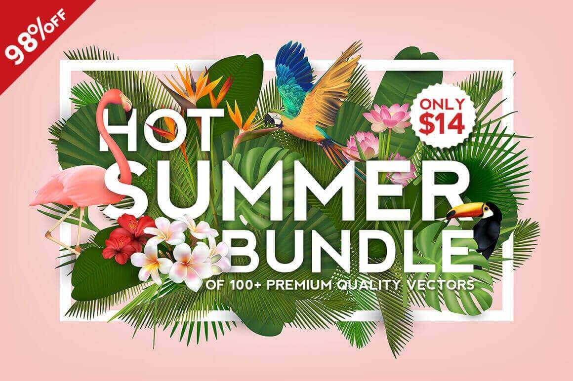 Hot Summer Bundle of 100+ Premium Quality Vectors - only $14!