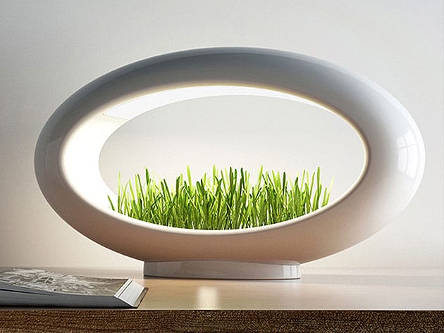 Valsfer Grasslamp for $197