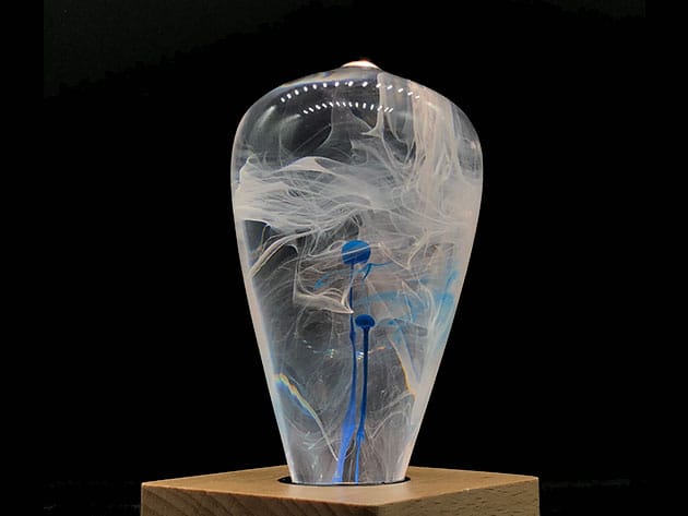 E.P. Eco-Friendly LED Light Bulb for $19