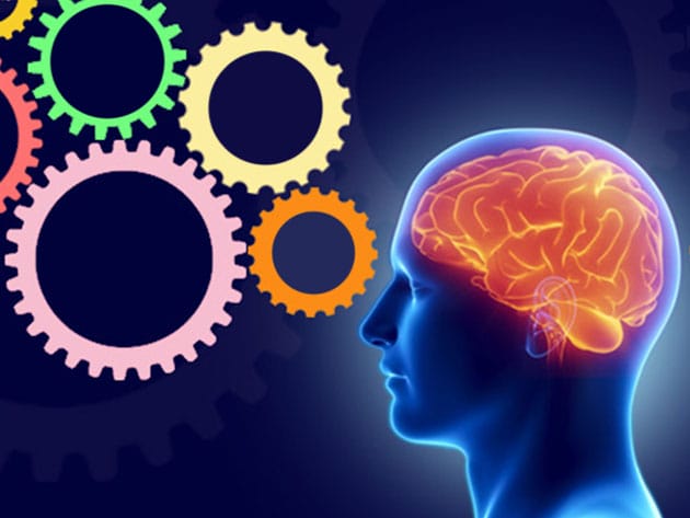 Full Neuro Linguistic Programming (NLP) Diploma Course for $29
