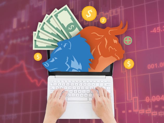 The Stock Market Success Bundle for $19