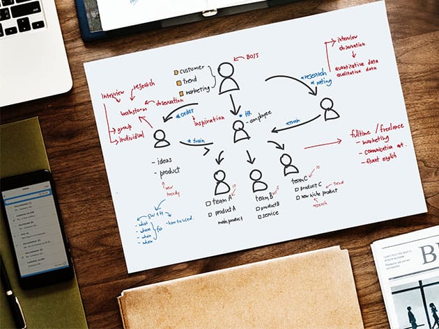 The CBAP & CCBA Business Analysis Certification Training Bundle for $19