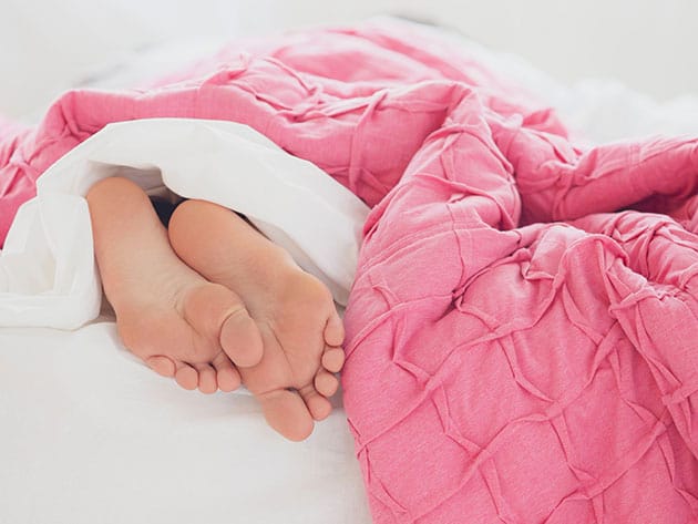 The Mindful Living Bundle Feat. Wisdom Labs for $25