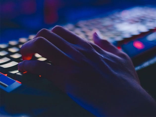 The Complete Ethical Hacking Masterclass for $15