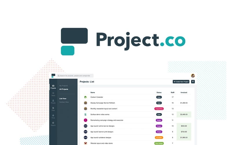Lifetime Deal to Project.co for $49