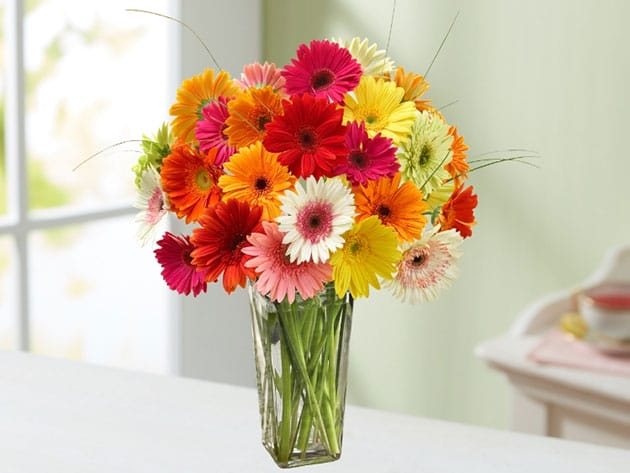 florists.com Mother’s Day Special for $15