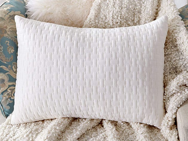 Sable Shredded Memory Foam Pillow with Thickened Bamboo Pillowcase for $21