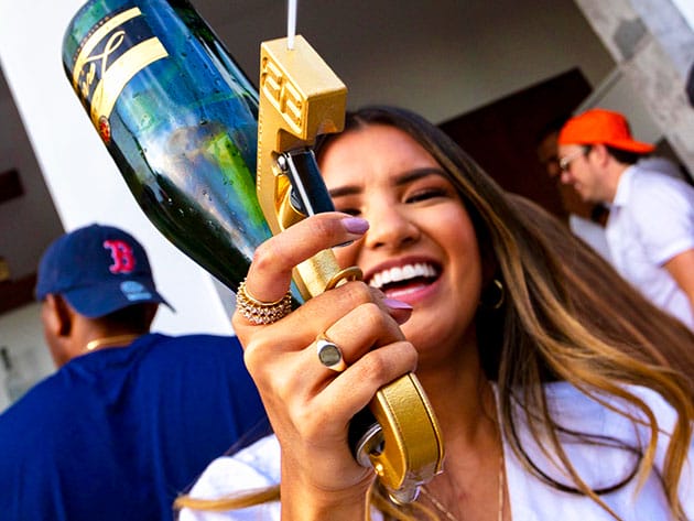 Bubbly Blaster® Champagne Sprayer for $89