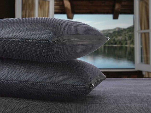 BestRest 3D Memory Restore Pillow for $69