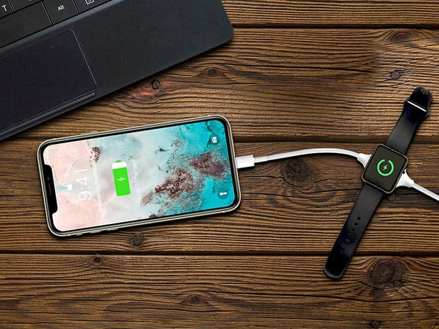 Apple Lightning + Watch Charging Cable for $14