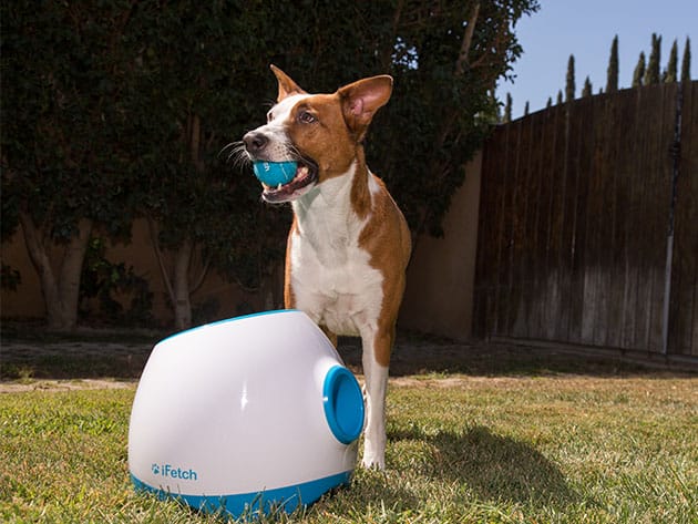 iFetch Too: Automatic Ball Launcher for Large Dogs for $199