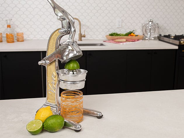 Artisan Citrus Juicer for $81