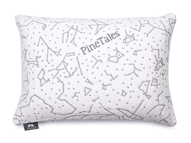 Organic Buckwheat Pillow with Bamboo Cover for $79